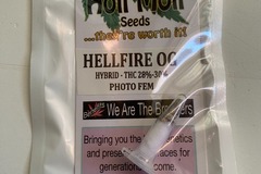 Venta: 6 FEMINIZED HELLFIRE OG SEEDS