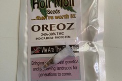 Sell: 6 FEMINIZED OREOZ SEEDS