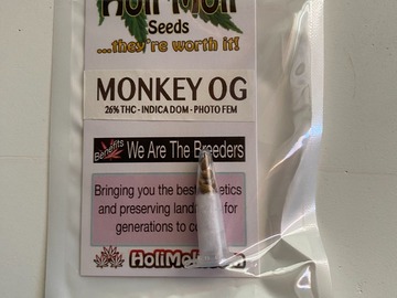 Sell: 6 FEMINIZED MONKEY OG SEEDS