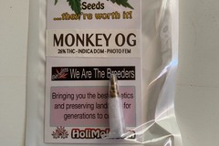 Sell: 6 FEMINIZED MONKEY OG SEEDS