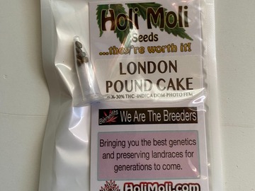 Venta: 6 FEMINIZED LONDON POUND CAKE SEEDS