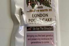 Sell: 6 FEMINIZED LONDON POUND CAKE SEEDS