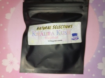 Sell: Khalifa Mints - Natural Selections - Masonic Seed Co.