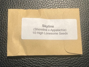 Sell: Skyline (Shoreline x Appalachia) - High Lonesome