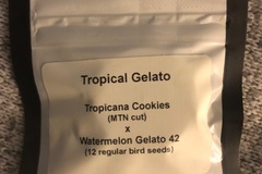 Sell: Tropical Gelato - LIT Farms