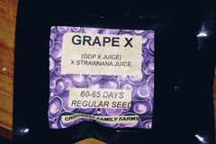 Sell: Crockett Family Farms Breeder Pack- Grape X