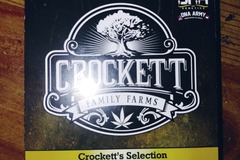 Vente: Crockett Selection Tangie regs