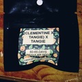 Vente: Crockett family Farms Breeder Pack:Clementine x tangie)tangie