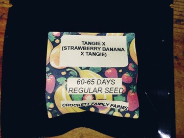 Sell: Crockett Family Farms Breeder Pack:Tangiex(strawnana x tangie)