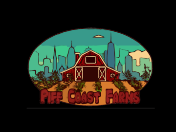 Venta: "HARLEM DREAMS "  PIFF COAST FARMS