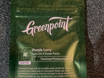 Sell: Purple Larry (Larry OG x Purple Punch) - Greenpoint