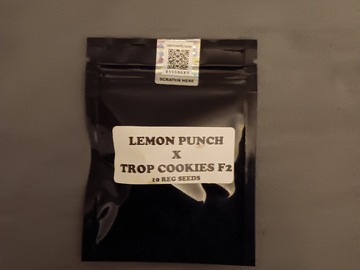 Venta: Rare Tikimadman Island Cookie Punch