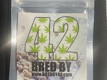 Venta: Bred by 42 Eskimo cookies