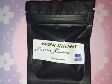 Venta: Lemon Runtz - Natural Selections - Masonic Seed Co.