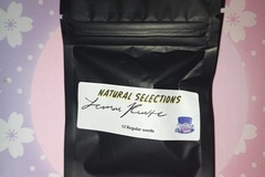 Venta: Lemon Runtz - Natural Selections - Masonic Seed Co.