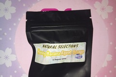 Vente: Honey Banana Agent Orange (Natural Selections) Masonic