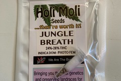 Sell: 6 FEMINIZED JUNGLE BREATH SEEDS