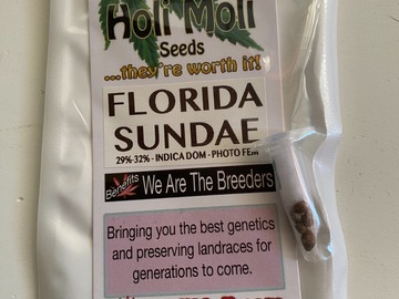 Vente: 6 FEMINIZED FLORIDA SUNDAE SEEDS