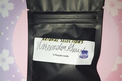 Venta: Watermelon Granita NS - Masonic Seed Co.