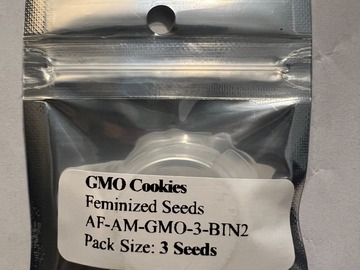 Vente: GMO Cookies - (3 Fems) - Amsterdam Seed Co.