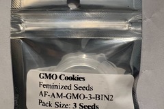 Sell: GMO Cookies - (3 Fems) - Amsterdam Seed Co.