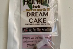 Sell: 6 FEMINIZED DREAM CAKE SEEDS