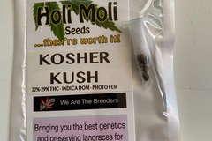 Sell: 6 FEMINIZED KOSHER KUSH SEEDS