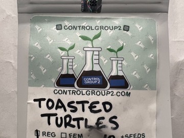 Sell: 10 Regs - Toasted Turtles: Fem: Grape Rock Candy/BBC, Male: Kobe