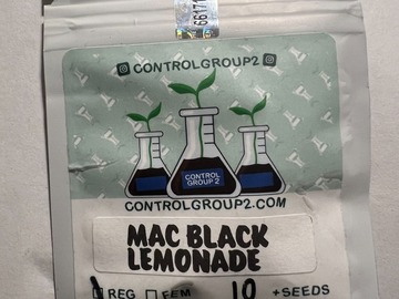 Sell: (10 Regs) - MAC Black Lemonade by Control Group Genetics