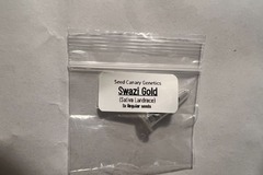 Vente: Swazi Gold - (6 Regs) - Sativa Landrace