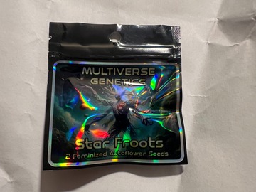 Vente: Star Froots - (2 Auto Fems) - Multiverse Beans