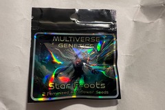 Sell: Star Froots - (2 Auto Fems) - Multiverse Beans