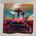 Sell: Tricross - (3 Auto Fems) by Atlas Seed