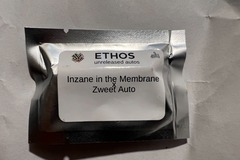 Sell: Inzane in the Membrane x Zweet Auto - (5) Auto Fems - rare Ethos!