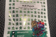 Sell: 9lb. Punch (Purple Punch x 9lb Hammer) - Jinxproof