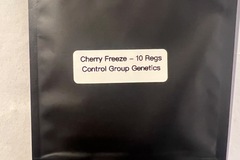 Vente: Cherry Freeze - (10 Regs) - bred by Control Group