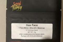 Vente: Gas Face