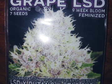 Sell: Mass Medical Seeds :Grape Lsd Fems