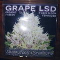 Vente: Mass Medical Seeds :Grape Lsd Fems