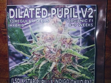 Venta: Mass Medical Seeds: Dilated Pupils regs