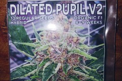 Vente: Mass Medical Seeds: Dilated Pupils regs