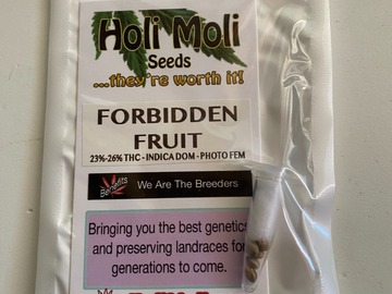 Sell: 6 FEMINIZED FORBIDDEN FRUIT SEEDS