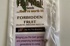 Vente: 6 FEMINIZED FORBIDDEN FRUIT SEEDS