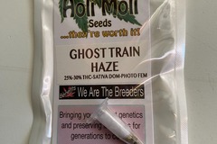 Sell: 6 FEMINIZED GHOST TRAIN HAZE SEEDS