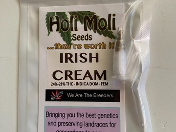 Sell: 6 FEMINIZED IRISH CREAM SEEDS