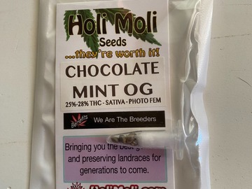 Sell: 6 FEMINIZED CHOCOLATE MINT OG SEEDS