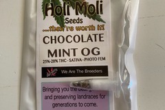 Sell: 6 FEMINIZED CHOCOLATE MINT OG SEEDS