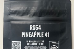 Sell: RS54 x Pineapple 41