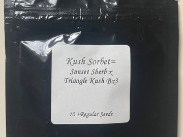 Sell: Kush Sorbet Seed Junky