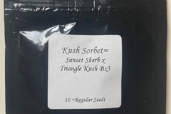 Sell: Kush Sorbet Seed Junky